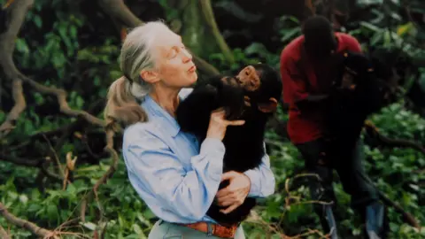 Dame Jane Goodall revolutionised our understanding of our closest primate cousins