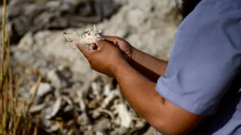 Months after fall of Assad, families of Syria's missing still seeking justice