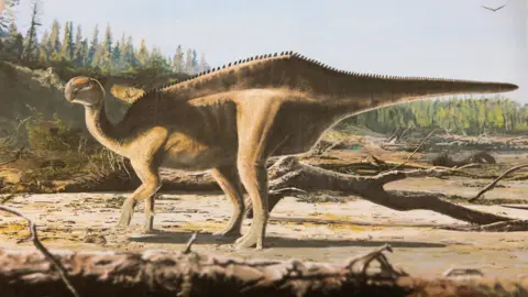 New dinosaur named after record-breaking sailor